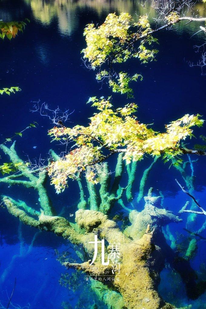 我的世界Minecraft