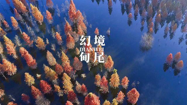 买来的鸡胸肉怎么处理，才能够更加鲜嫩多汁？