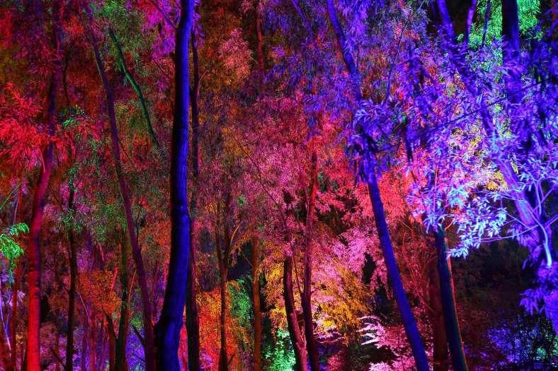 聊城各花卉市场迎来销售旺季