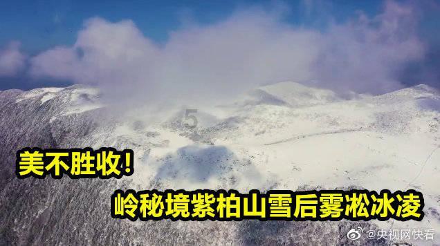 网页游戏