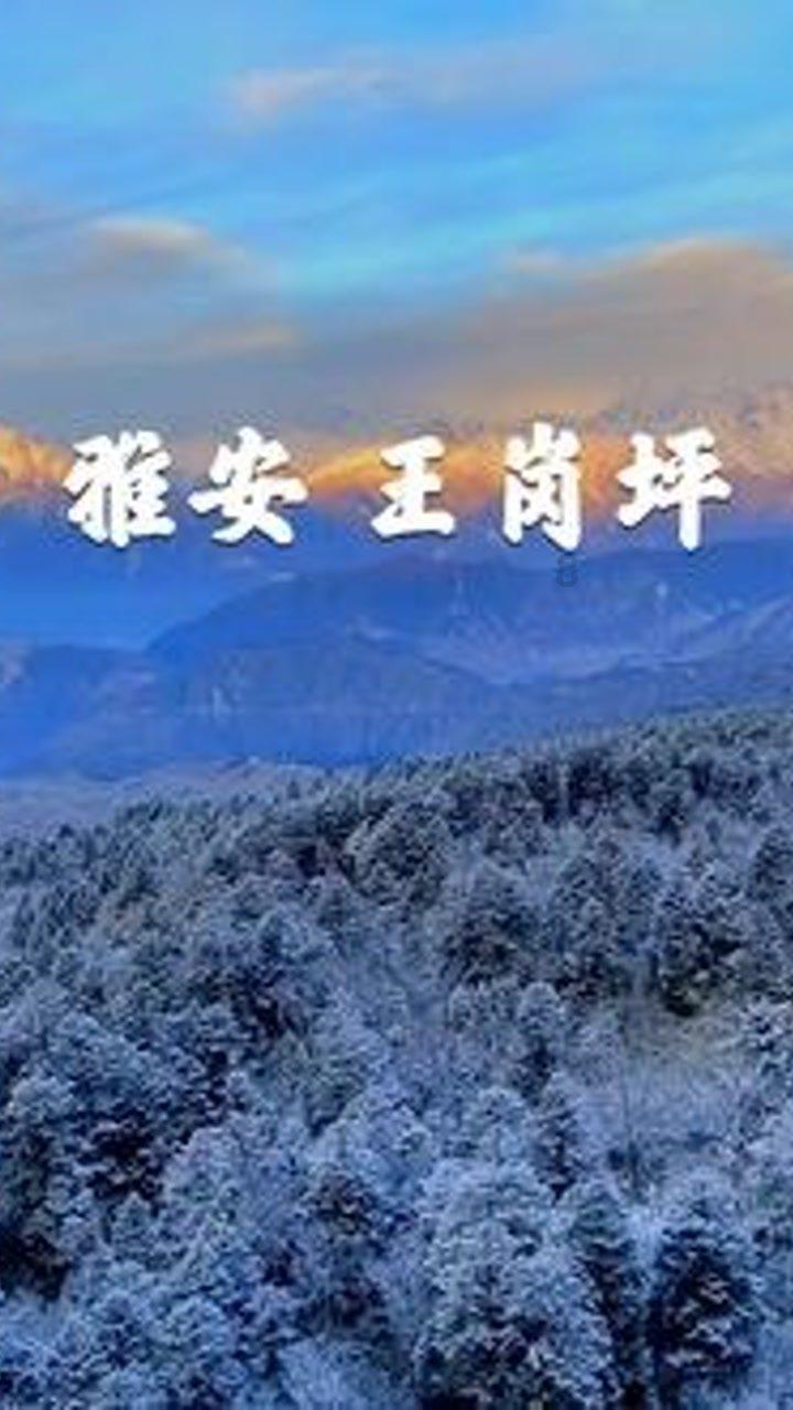 打工装扮娃娃屋