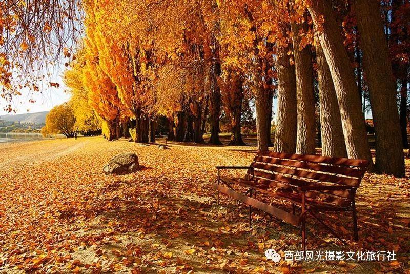 探索燕麦和鸡蛋可不可以一起吃,加入知识星球,开启智慧之旅