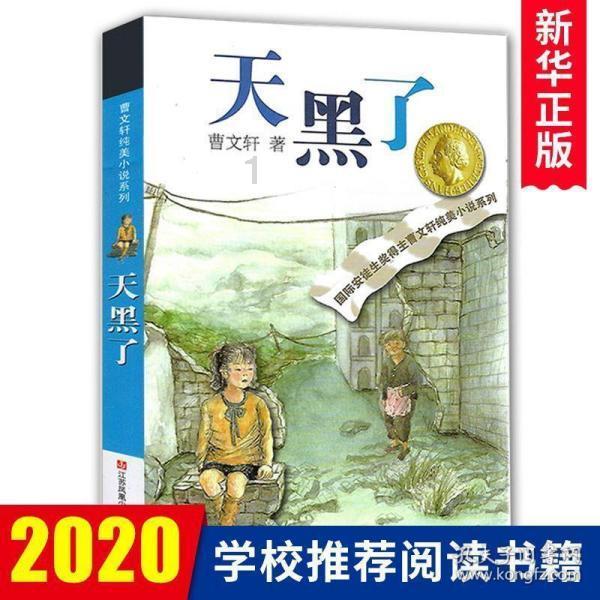 逃离废墟镇