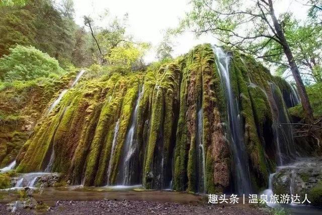 税惠浇灌 “长安花”越开越旺