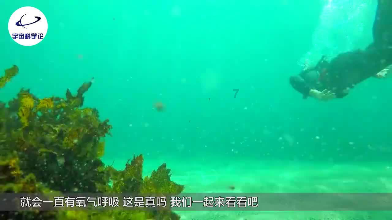 挺进地牢