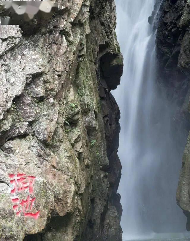 逃离森林湖畔