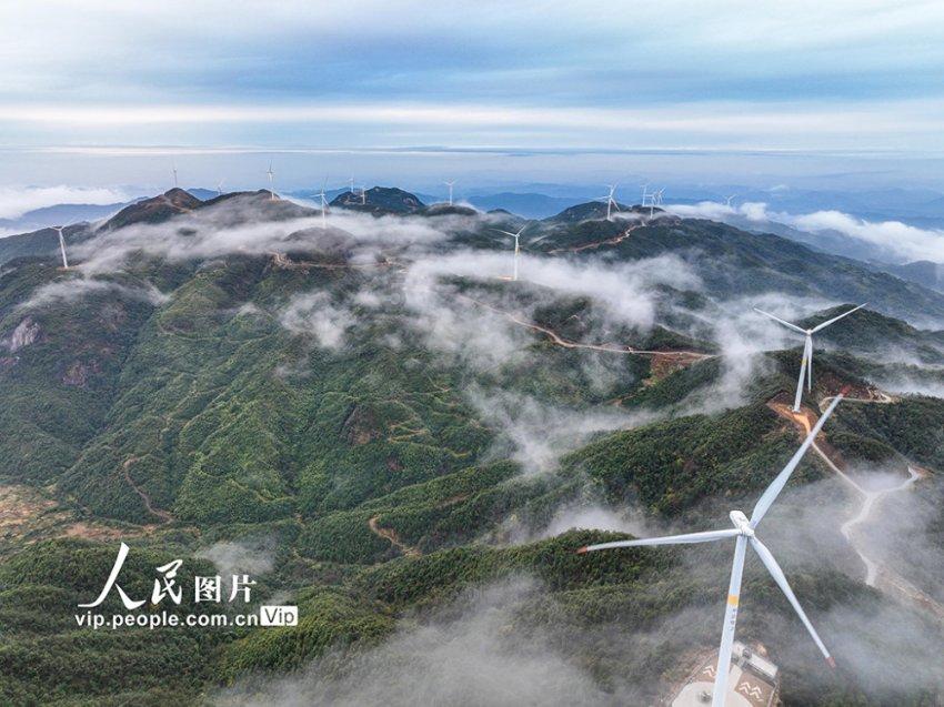 集装箱货运船