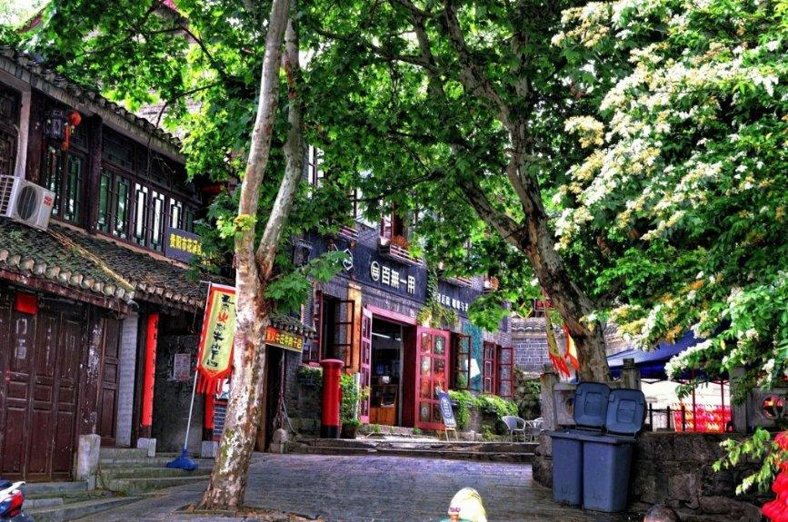 快刺水果