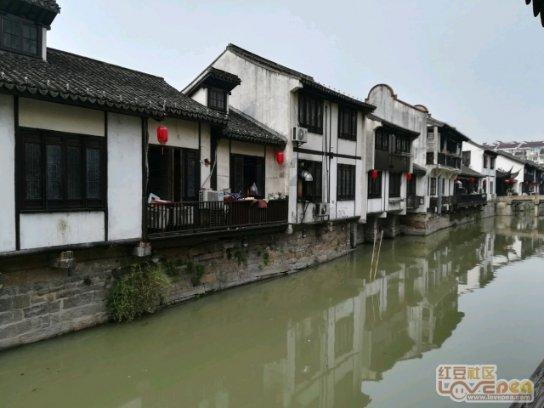 拯救精灵的土地5