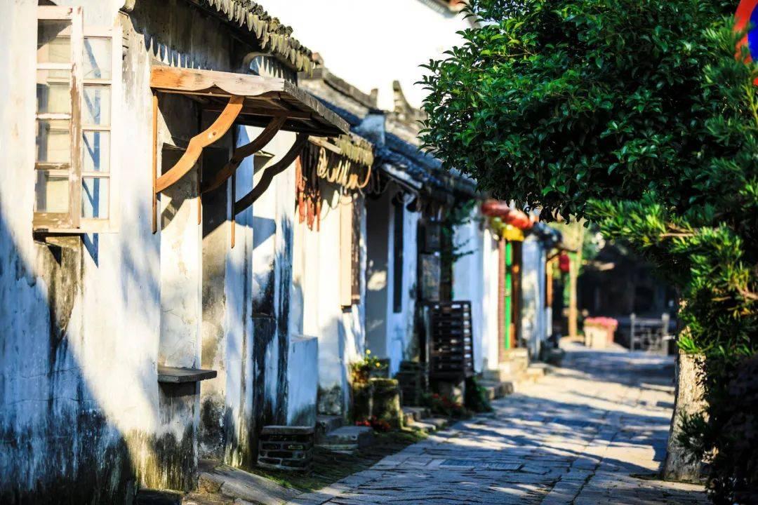 冰火人魔法森林大冒险2
