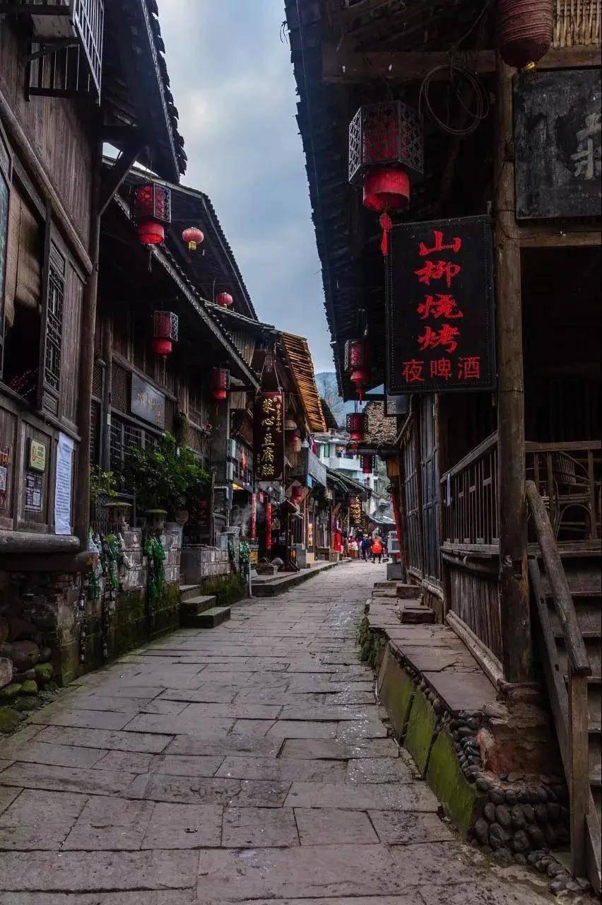 蝎子逃生之地