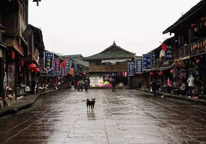 助力中医骨科特色发展，孙永强名医“师带徒”工作室落户宁德