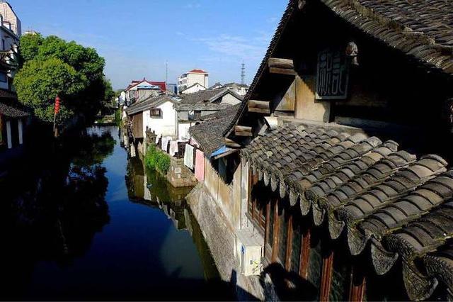 奇妙香蕉之旅