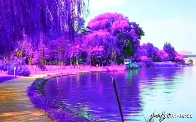 辣妹子刘芸，嫁给“摇滚浪子”郑钧，她的婚姻真的幸福吗？